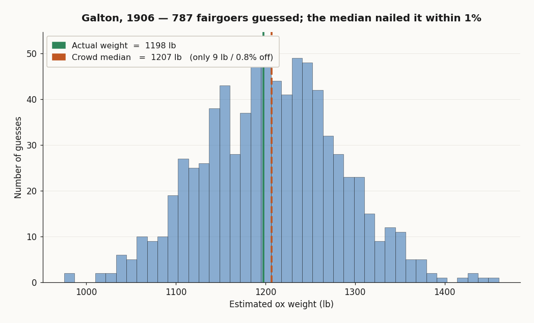 Histogram 787 odhadů hmotnosti vola na trhu v Plymouthu 1906. Medián davu (~1207 lb) leží v rámci 1 % skutečné hmotnosti po porážce (1198 lb).
